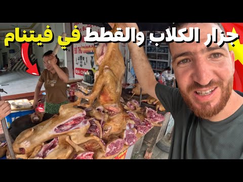 أغرب سوق في الفيتنام يباع فيه لحم الكلاب و القطط وبعض الأطعمةالغريبة لا تتفرج وأنت تاكل هشام يسافر