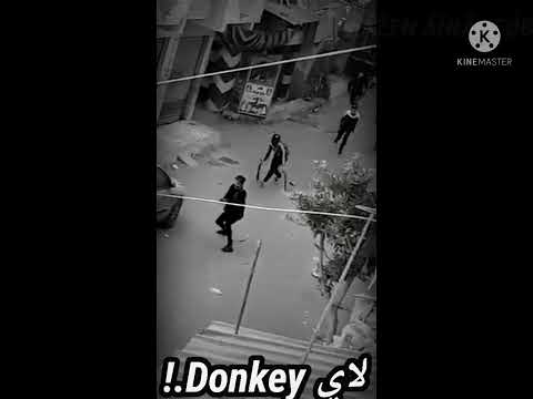 افجر حالات وتس مهرجنات مودي امين 2021 مهرجان فارس و راكب عليكو هسحب سلاحي و هبوط و امك تصوت افجر حالات وتس مهرجنات مودي امين 2021 مهرجان فارس و راكب عليكو هسحب سلاحي و هبوط و امك تصوت