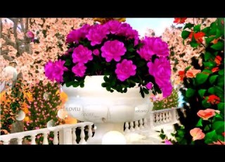 Fur Elise Ludwig Van Beethoven Richard Clayderman