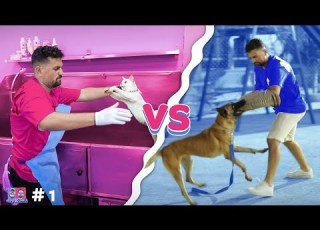  رأيين بوجه واجهنا اشرس الكلاب والقطط