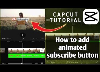  How To Put Animated Subscribe Button In Capcut Capcut Tutorial