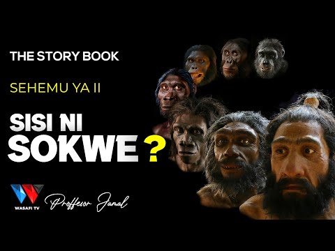 The Story Book Je Asili Yetu Ni Sokwe Ujue Ukweli Wote SEHEMU YA 2