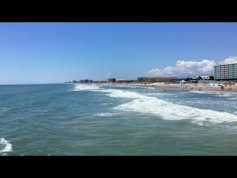 Shadow In The Moon Rock N Roll Free My Soul