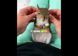  He Gave Her A Home She Gave Him A Bond Shortvideo