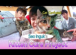 When Confused Kittens Meet Caring Seo Inguk ソイングク