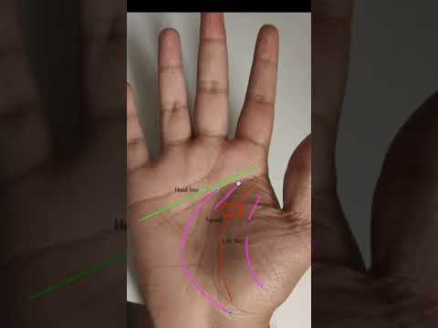 Different Patterns In Lifelines Reach Out To Me On 8951568344 To Know More