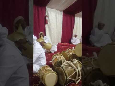 هبان مرزق المنشي ابراهيم مايد