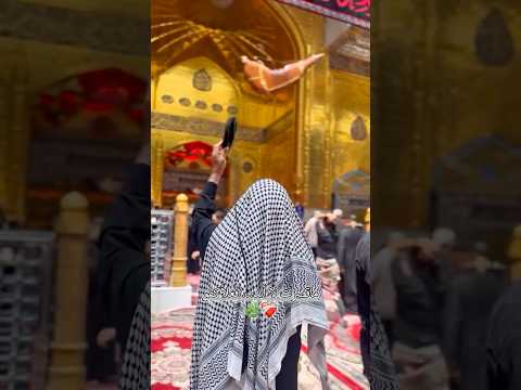 ماقصرت لاأبد فعلا كفو باسم الكربلائي ياأباالفضل Shortvideo 2025 ماقصرت لاأبد فعلا كفو باسم الكربلائي ياأباالفضل Shortvideo 2025