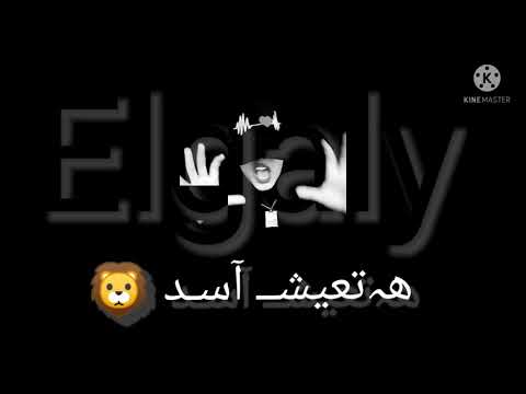 اغنيه انا ابويا قالي هتعيش اسد تسوق مملكة مهرجانات