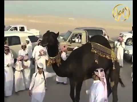 منقية بخيت المري أداء جفران المري جديد