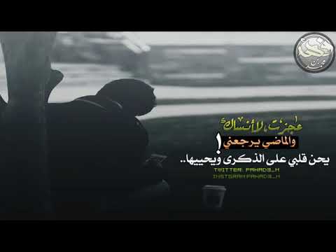 شيلة عجزت لاأنساك كلمات الزعيم أداء نايف راضي حزين