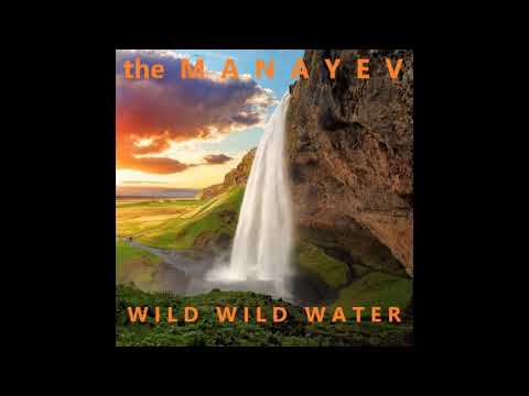 The Manayev Wild Wild Water Cover Of Modern Talking