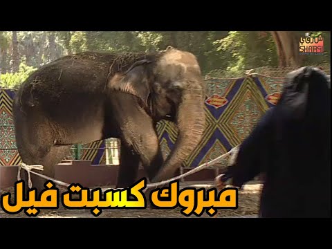 ابراهيم نصر في احلى موسم للكاميرا الخفية مبررروك كسبت فيل