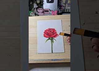 Art Transition Artshorts