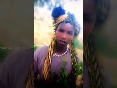 Walaloo JL Haqaafan Baheera