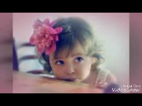 نانسي عجرم شفت وردة أحلى وردة تصميمي