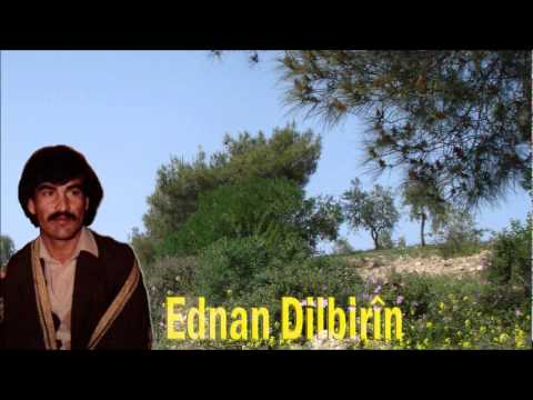 عدنان دلبرين حفلة المزرعة موال كوردي حزين Ednan Dilbirin