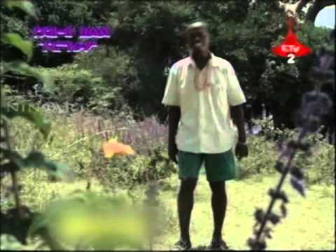 Kifle Wosene Ari Bonabonde