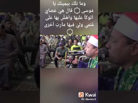 حكمدار الشيخ محمود صابر