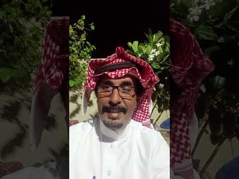 قصه اليوم عن هجوم الذيب ١٦٧