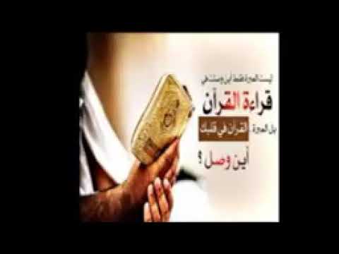 تلاوة رائعة من سورة النمل القارئ سعيد دباح