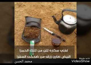 لفلي ساكرت تتن كلام روعه