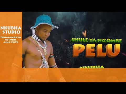 SHULE YA NG OMBE UJUMBE WA PELU OFFICIAL AUDIO
