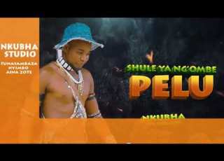 SHULE YA NG OMBE UJUMBE WA PELU OFFICIAL AUDIO