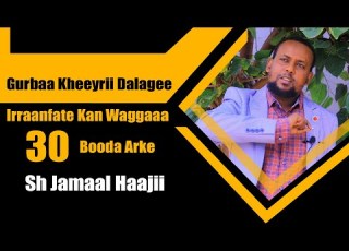 Gurbaa Kheeyrii Dalagee Irraanfate Kan Waggaa 30 Booda Arke