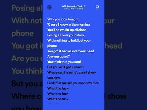 HUGEL Amber Van Day WTF Hits Tiktok Spotifylyrics Trending Summer Viralhits Shorts Music