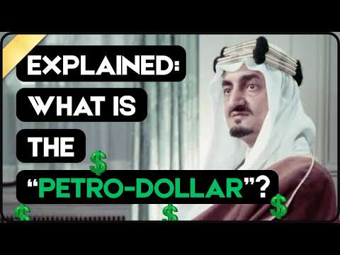 What Is Petro Dollar Explained Simply For The Common People