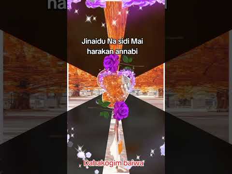 Jinaidu Na Sidi Mai Harakan Annabi Dahakogim Baiwa Jinaidu Na Sidi Mai Harakan Annabi Dahakogim Baiwa