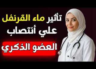 سر الرجولة في مطبخك كيف يعيد القرنفل قوتك بعد الستين
