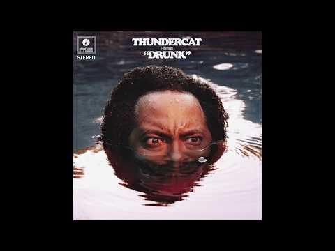 Thundercat Them Changes