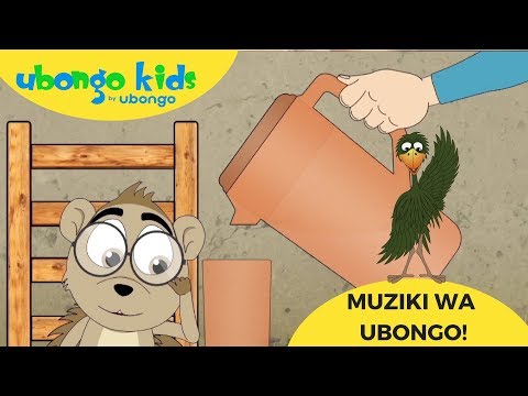 NYIMBO ZA UBONGO Mzunguko Wa Maji Jifunze Sayansi Na Ubongo Kids Katuni Za Elimu