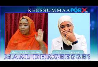 MAAL DHAGEESSE Muniiraa Mohammed Keessummaa Forx