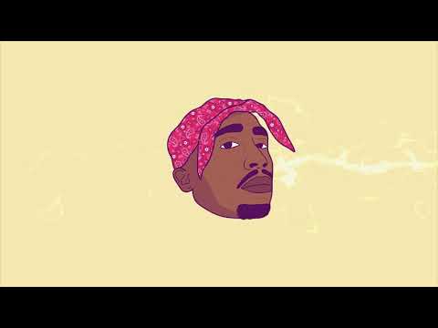 Tupac Fuck All Y All Lofi Remix