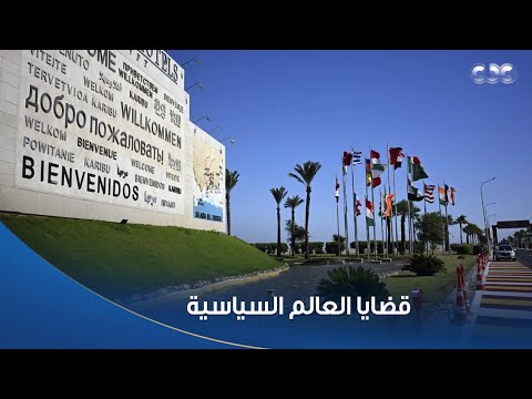 د شفيق التلولي يكشف عن الدور الكبير الذي تقدمه مصر في قضايا العالم السياسية