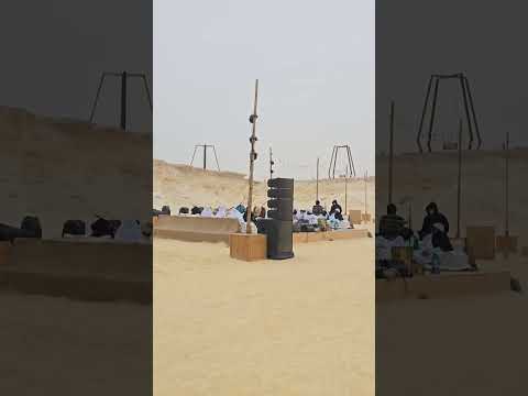 طرب مع إحدى الفرق الشعبيه