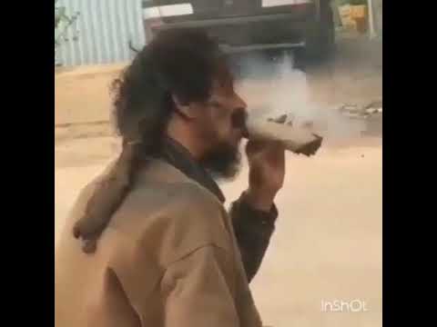 الراس اللي مابه كيف