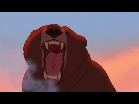 Brother Bear Bear Attack