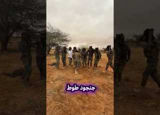  JointForces The Cubs Of Mr Attack 77 Are Dancing To The Successive Victories Over The Janjaweed