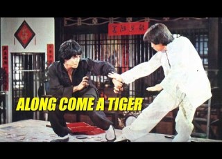 Wu Tang Collection Along Comes A Tiger
