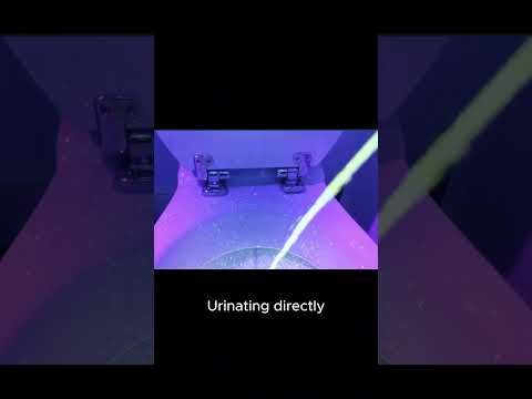 How To Avoid Urine Splash The Best Methods Revealed