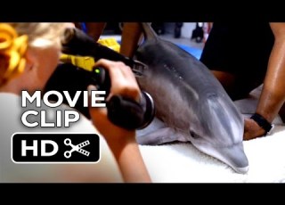 Dolphin Tale 2 Movie CLIP When That Truck Arrives 2014 Harry Connick Jr Dolphin Drama HD