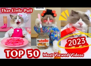  Top 50 Most Viewed Videos 2023 That Little Puff