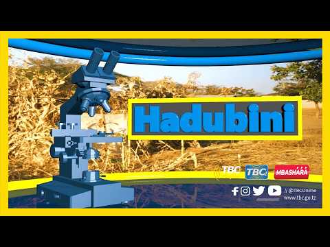 TBCLIVE HADUBINI MACHI 21 2026 SAA 2 00 3 00 USIKU