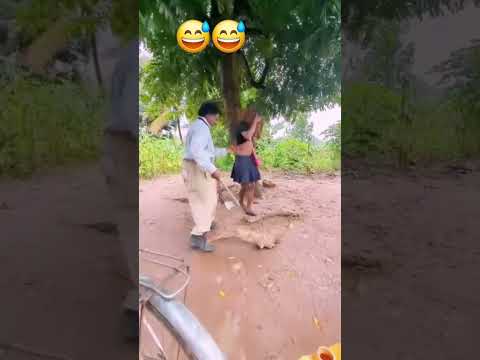 Comedy Funny Lifeisbutadream Prismlivestudio Amazing Ihavethisthingwithplants Hiphop