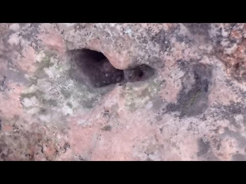 ما هو دور المربط في علم الاشارات ركز وتابع واستفد مع الاستاذ ابو الجرار