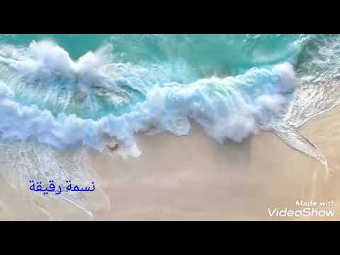 موسيقى اغنية محمد منير لما النسيم تصميم نسمة رقيقة